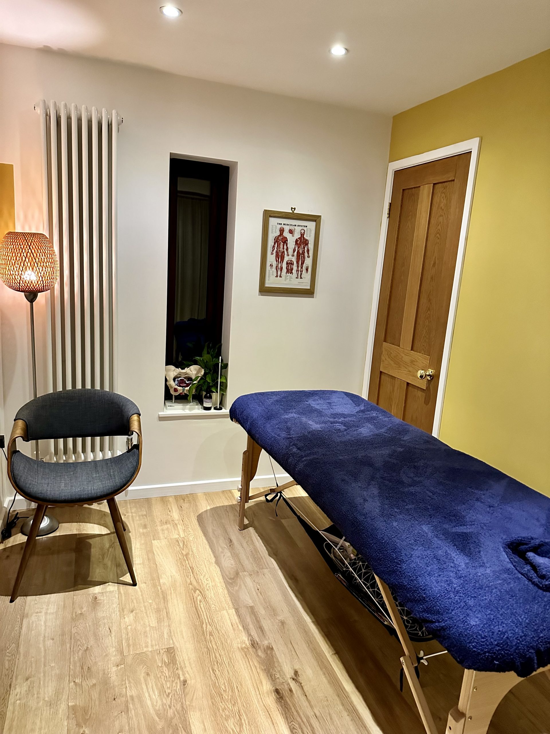 physiotherapy room llangoed